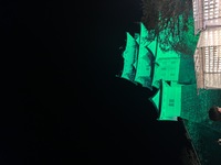 2446-s-3.jpg