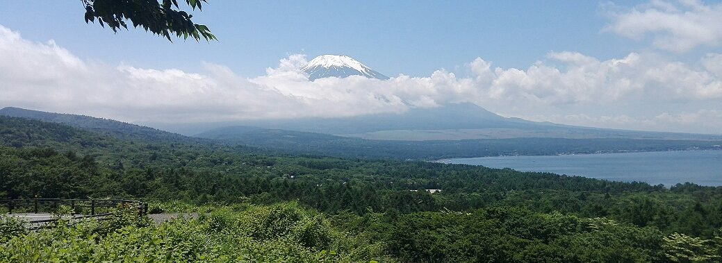 RISSHO KID'S きらり